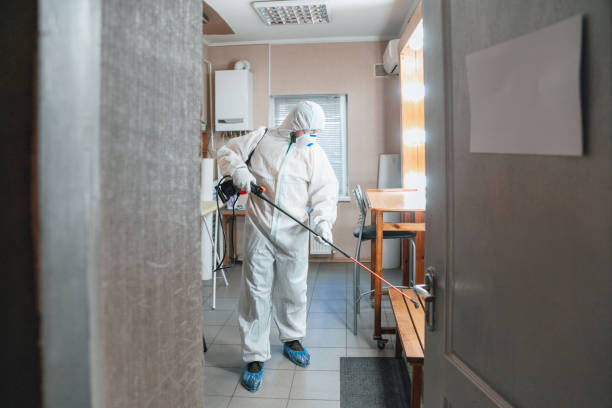 Best Mold Odor Removal Services  in Kathleen, FL